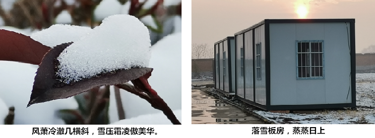 文化活动